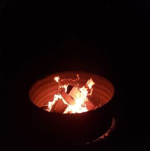 Meet your Posher, Shauna